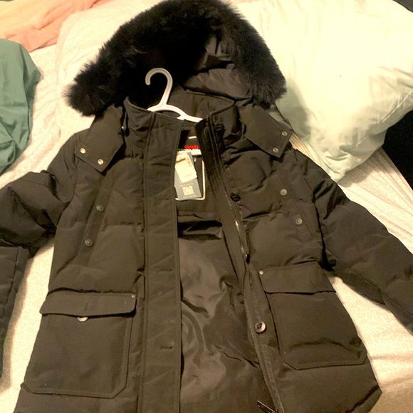 Moose knuckles winter jacket. - Picture 1 of 4